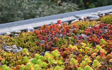 the cost of East Walton green roof installation