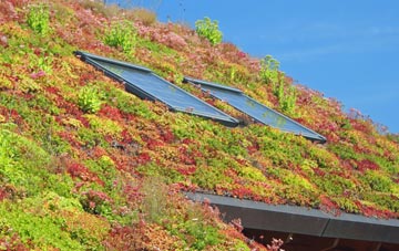 East Walton living roof systems